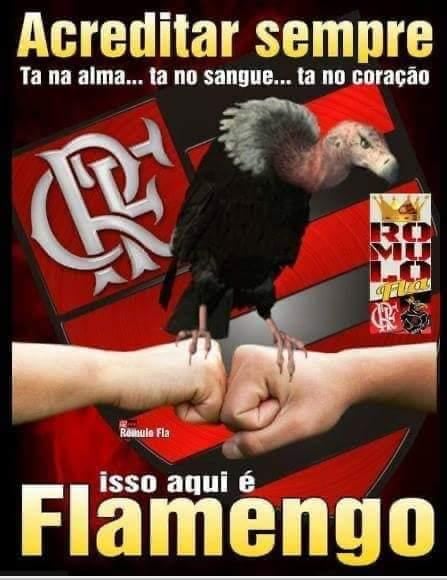 Mengão na Libertadores - 2024